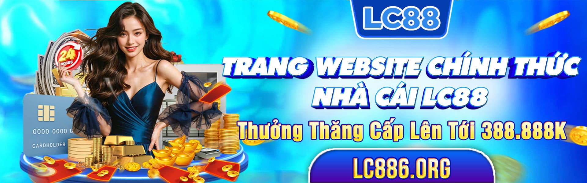 banner LC88