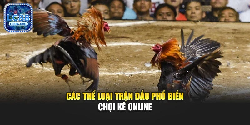 Các thể loại trận đấu phổ biến chọi kê online