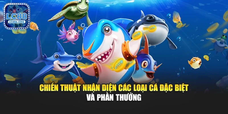 Chiến thuật nhận diện các loại cá đặc biệt và phần thưởng