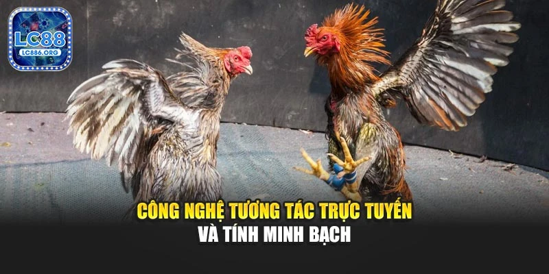 Công nghệ tương tác trực tuyến và tính minh bạch