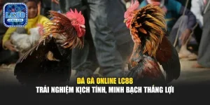 Đá Gà Online Lc88 Trải Nghiệm Kịch Tính