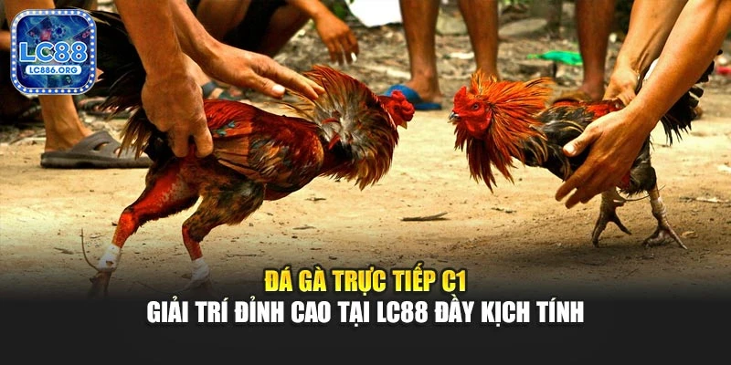Thao tác cơ bản và giao diện trực quan săn cá JDB