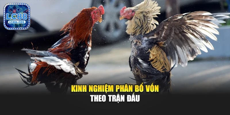 Kinh nghiệm phân bổ vốn theo trận đấu