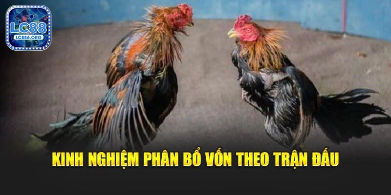 Kinh nghiệm phân bổ vốn theo trận đấu