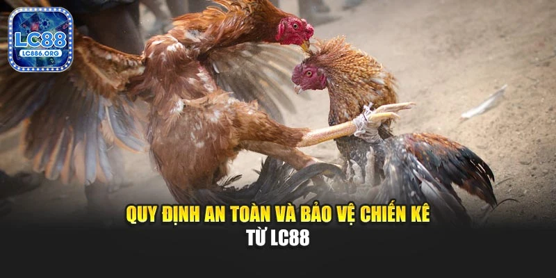 Quy định an toàn và bảo vệ chiến kê từ LC88